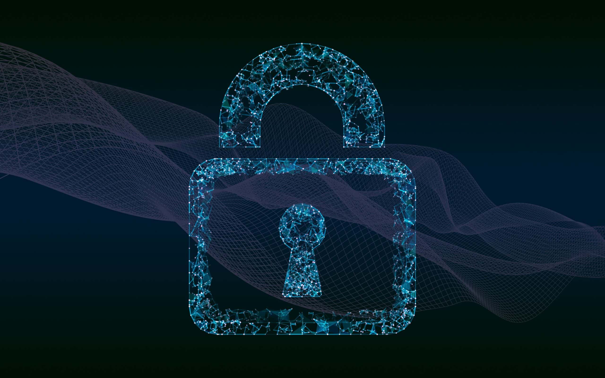 Data Privacy & Governance